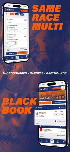 Official XcelBet iPhone screenshot 3